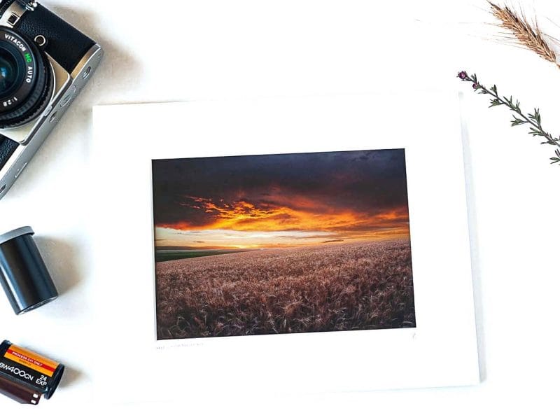 Wheat Field at Sunset 5×7 Matted Print