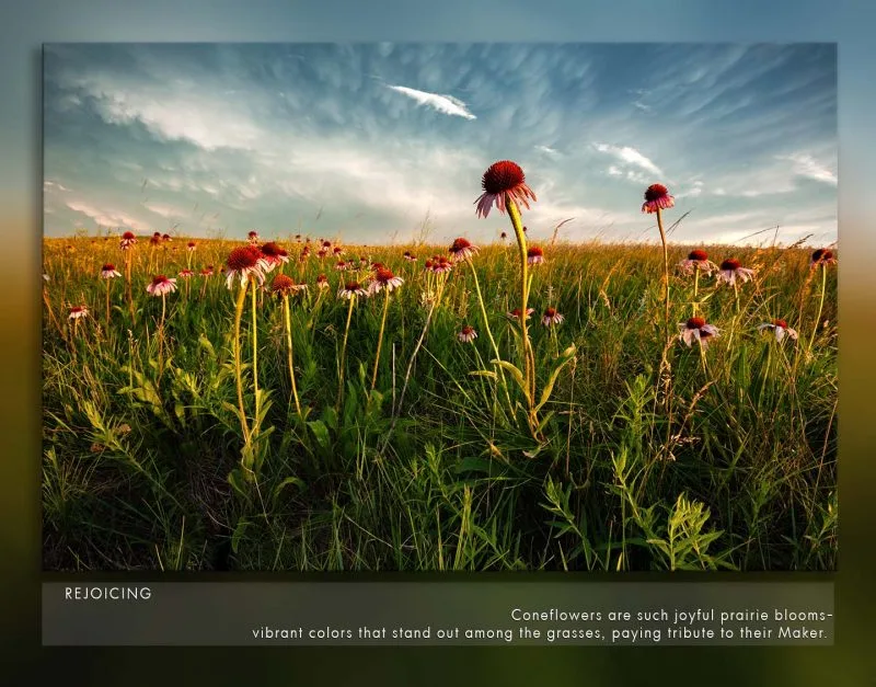 2021 Calendar - Image 3