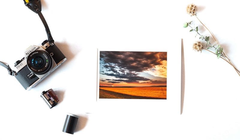 Amber Waves 5x7 Matted Print