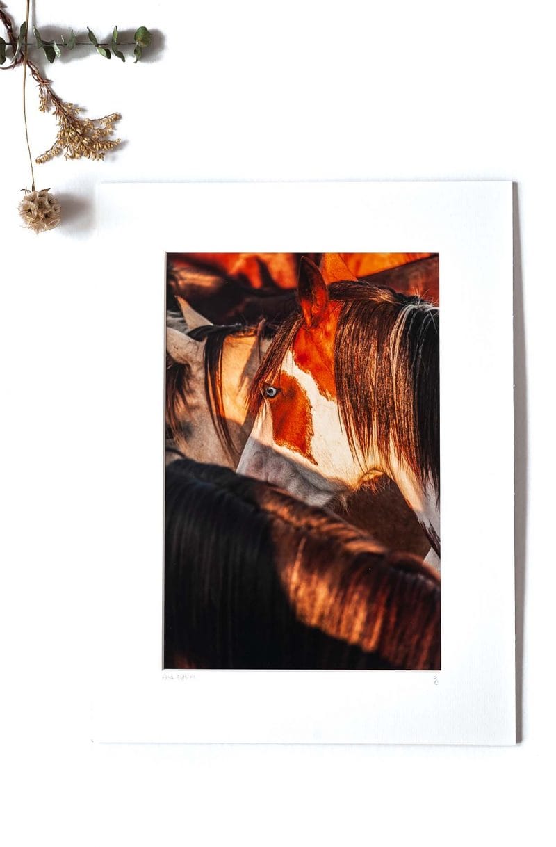 Blue Eyes 8x12 Matted Print
