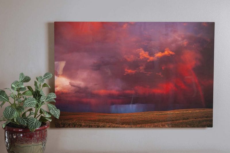 Calling Out 16x24 HD Metal Print