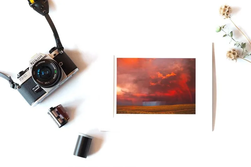 Calling Out 5x7 Matted Print