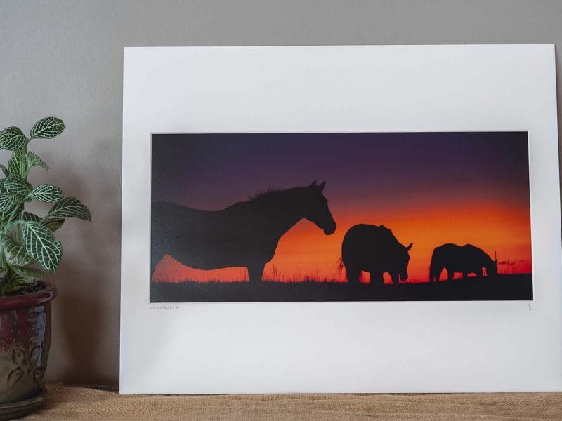 Into the Sunset 8×17.5 Matted Print