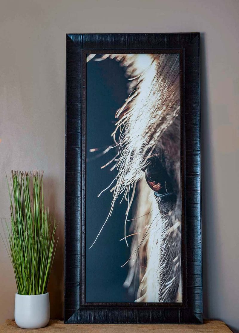 Gentle Gaze 14x36 Framed Giclee Canvas
