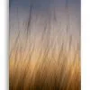 Dance With Me 8x12 Matted Print - Image 2