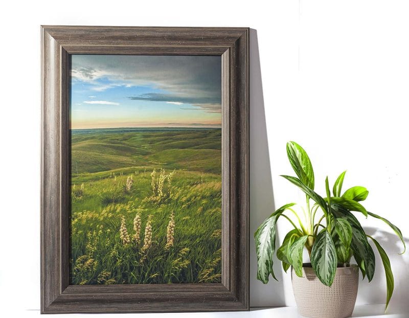 Stamford 16x24 Framed Giclee Canvas
