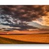 Amber Waves 5x7 Matted Print - Image 2
