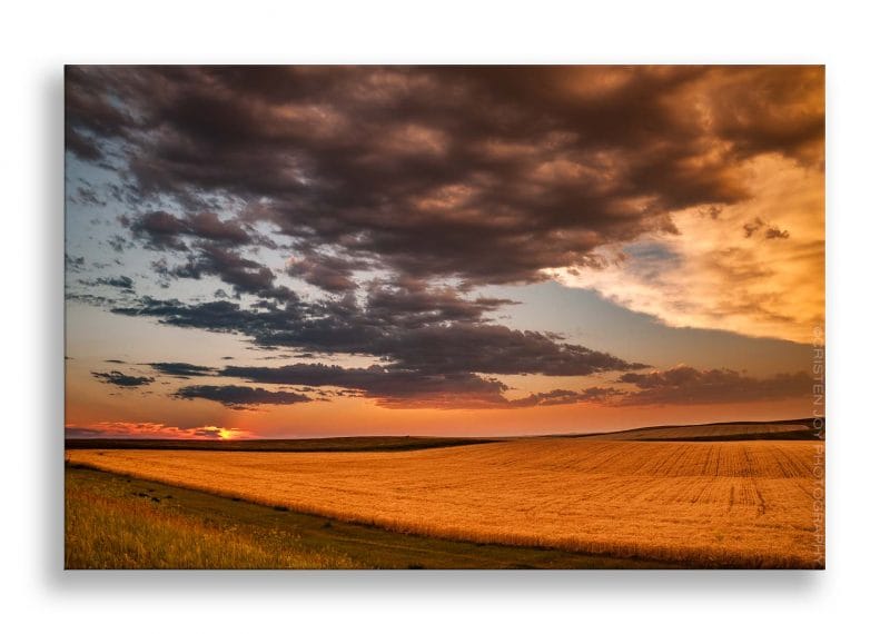Amber Waves 5x7 Matted Print - Image 2