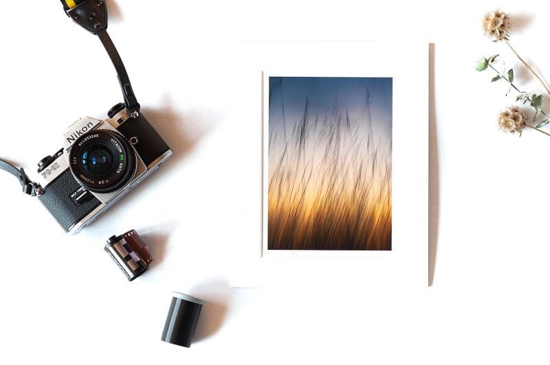 Dance With Me 5x7 Matted Print