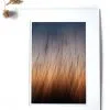 Dance With Me 8x12 Matted Print