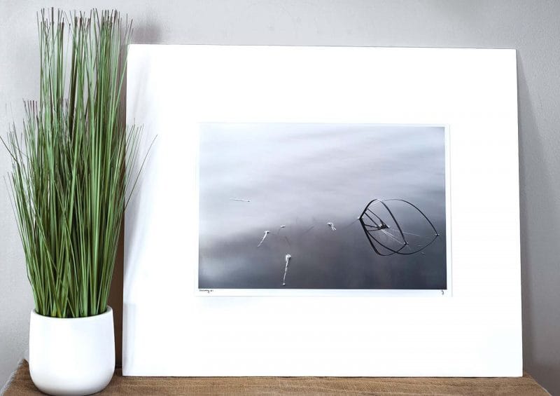 Discovery 10x15 Matted Print