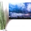 Fragrant Fury 11x17 Acrylic Glass Print