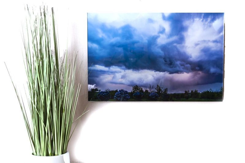 Fragrant Fury 11x17 Acrylic Glass Print