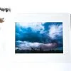 Fragrant Fury 8x12 Matted Print