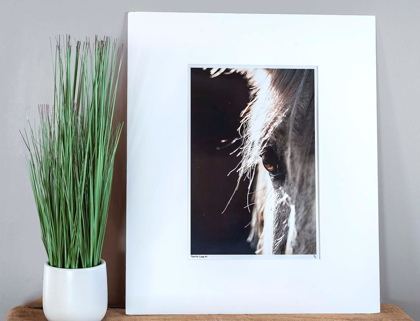 Gentle Gaze 10x15 Matted Print - Cristen Photography