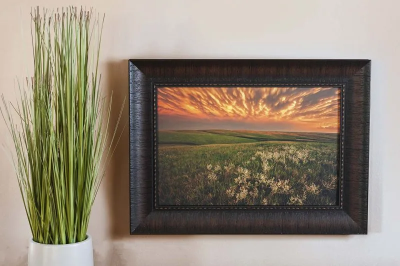 Green Pastures 10x15 Framed Giclee Canvas Print