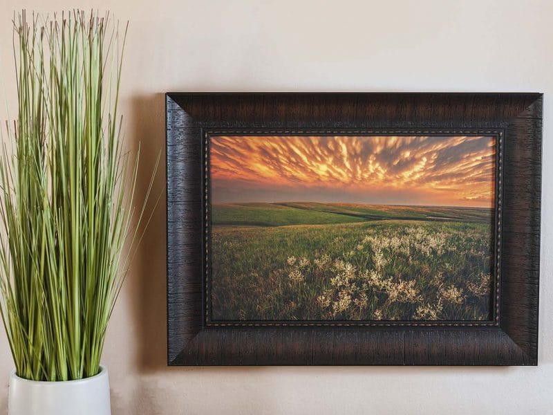 Green Pastures 10×15 Framed Giclee Canvas Print