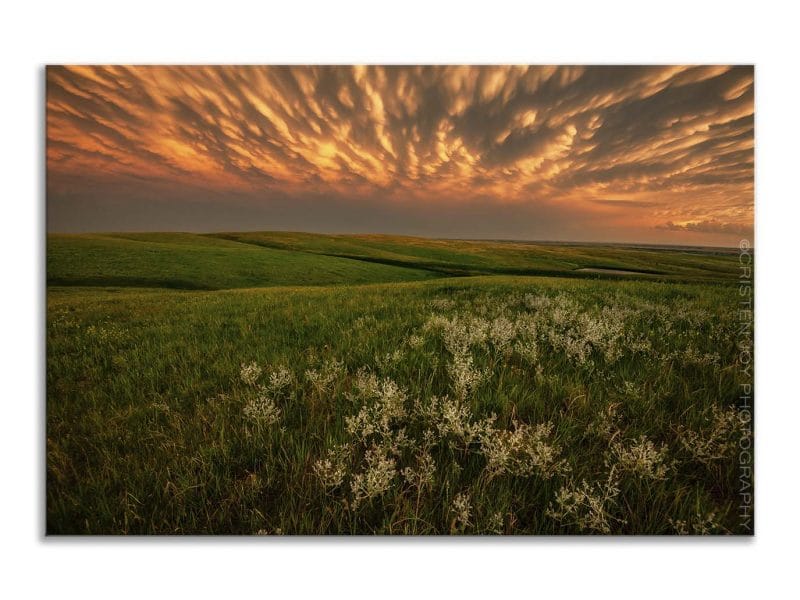 Green Pastures 5×7 Matted Print