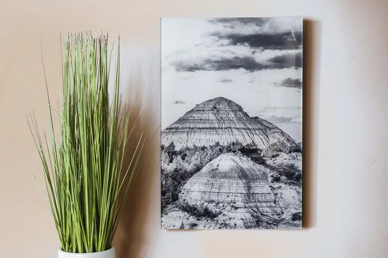 Isolate 12x18 Acrylic Glass Print