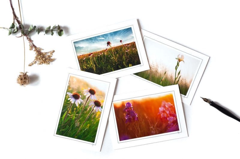 Jewels of the Prairie Notecard Collection
