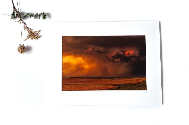 July Heat 8x12 Matted Print