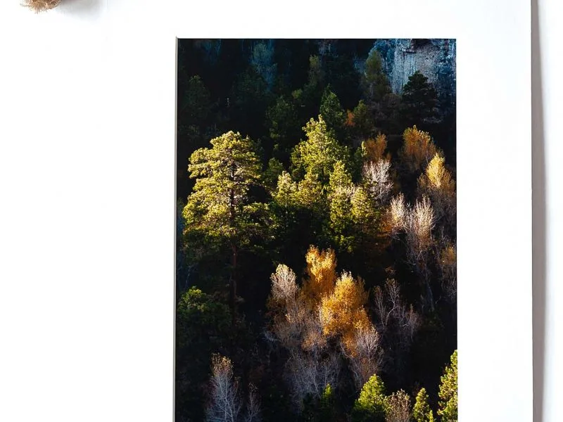 Light & Shadow 8×12 Matted Print
