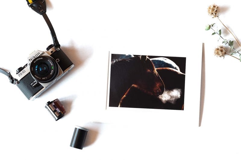 Puff 5x7 Matted Print
