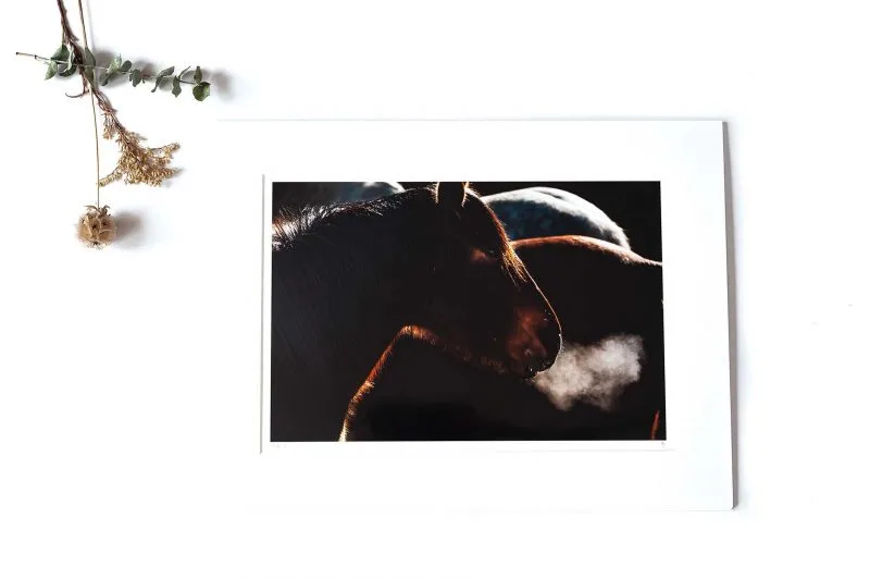 Puff 8x12 Matted Print