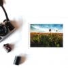 Rejoicing 5x7 Matted Print