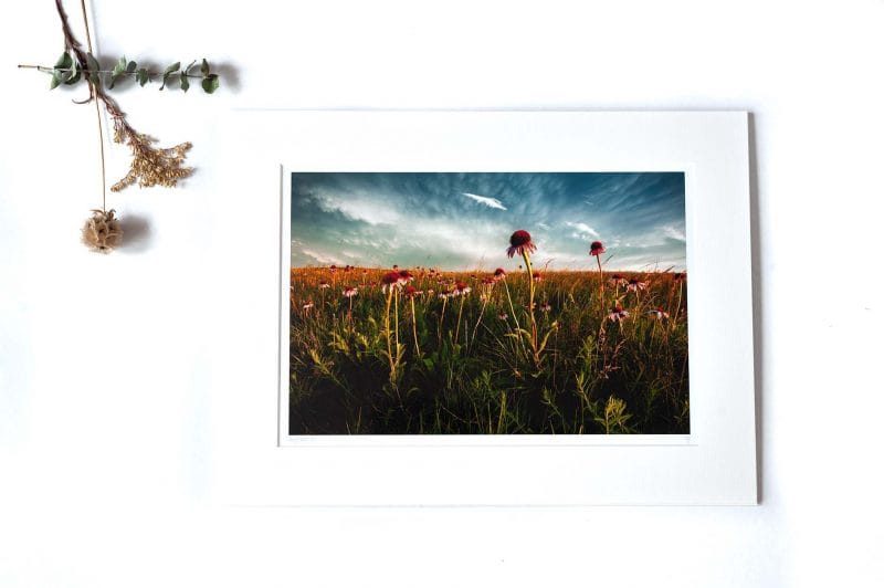 Rejoicing 8x12 Matted Print