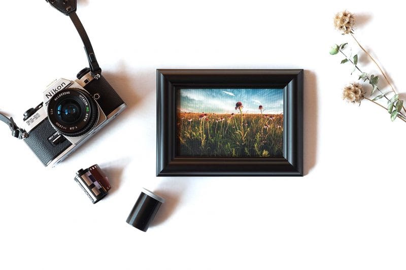 Rejoicing Framed Mini Canvas Print