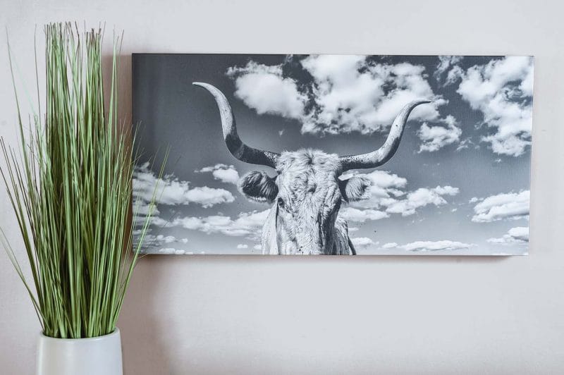 Stella 12x24 Giclee Canvas Gallery Wrap
