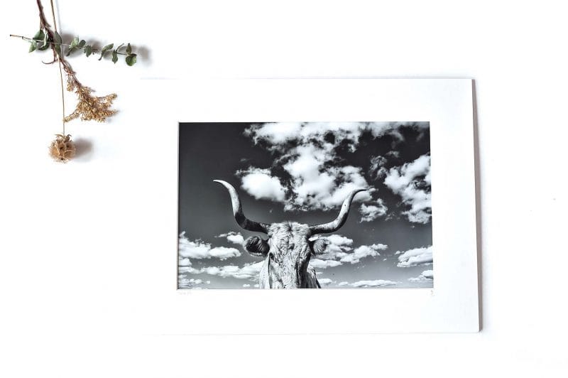 Stella 8x12 Matted Print