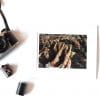 Textures 5x7 Matted Print