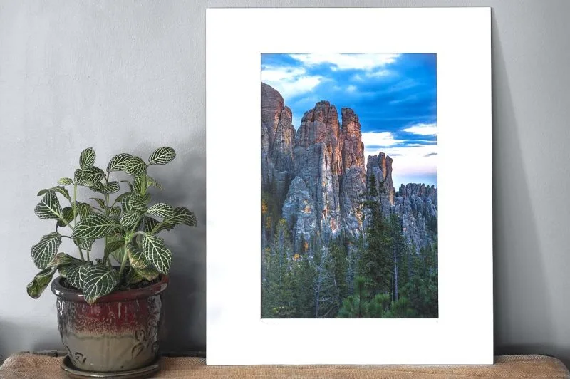 Touch of Gold 10x15 Matted Print