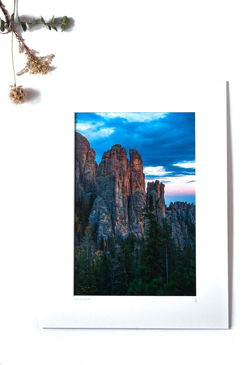 Touch of Gold 8x12 Matted Print