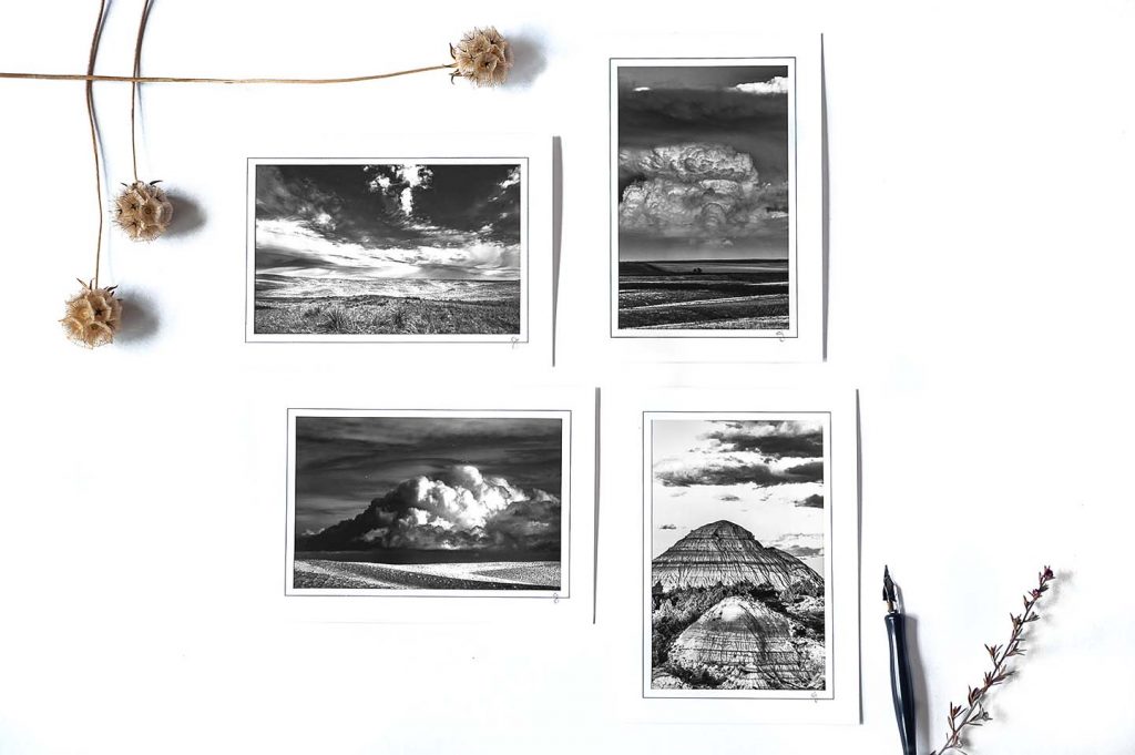 Black & White Notecard Collection