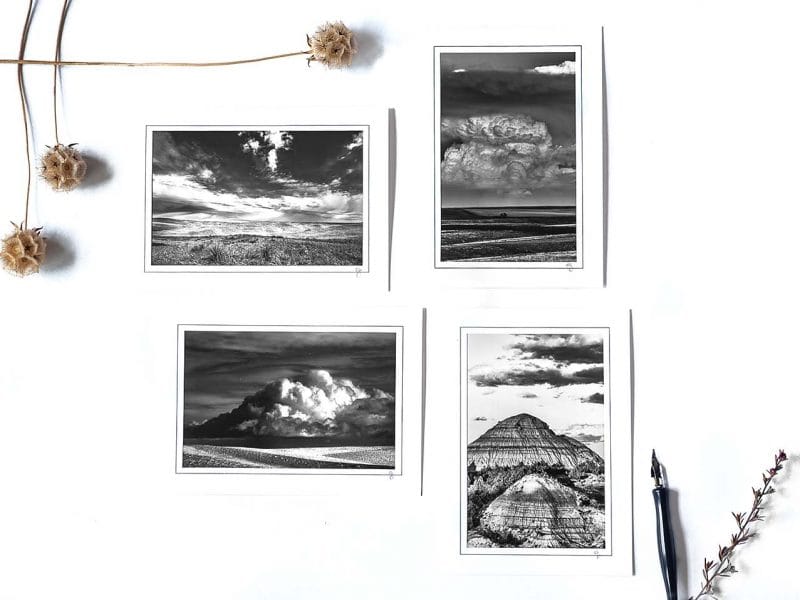 B&W Notecard Collection