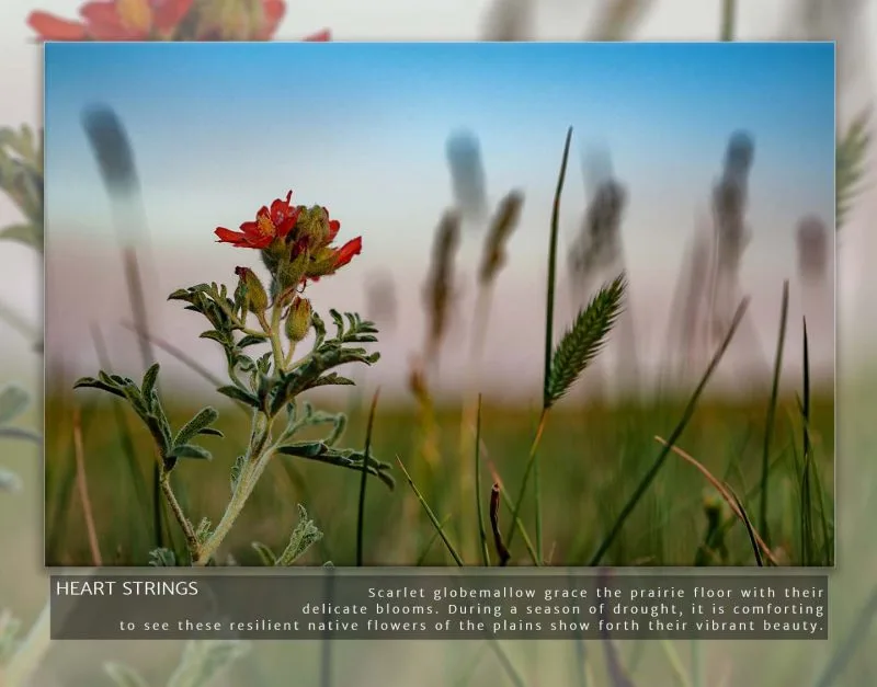 2022 Calendar - Image 3