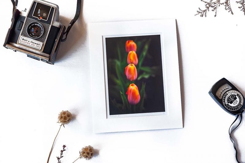 Perfection 5x7 Matted Print