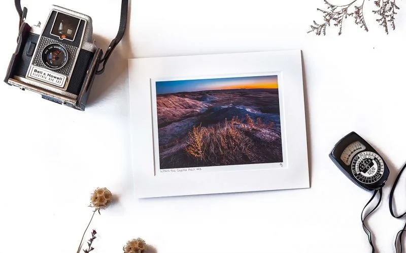 Where the Coyotes Howl 5x7 Matted Print