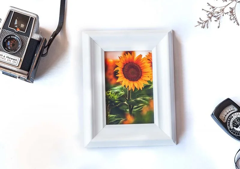 Blazing Sun Framed Mini Canvas Print