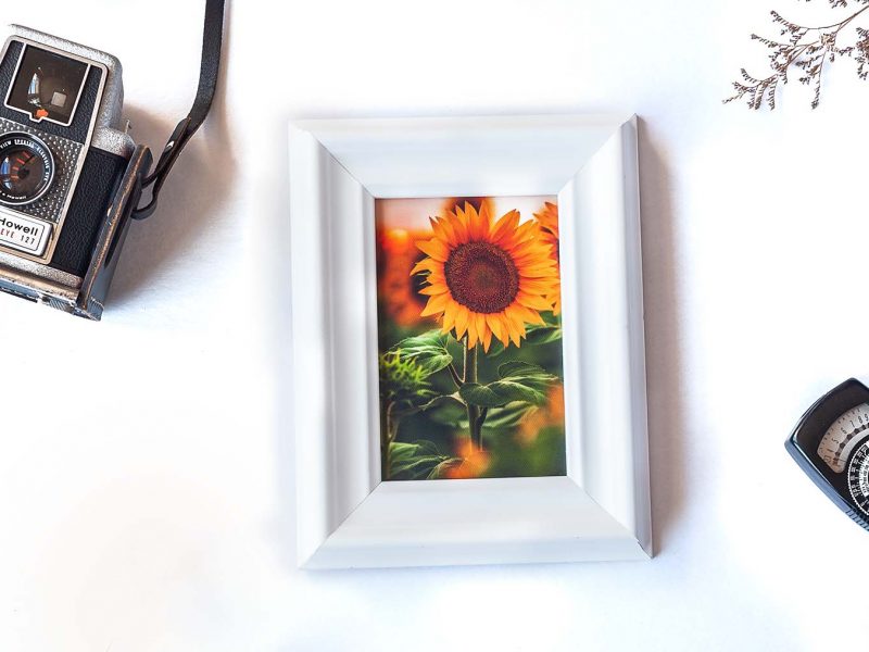 Blazing Sun Framed Mini Canvas Print