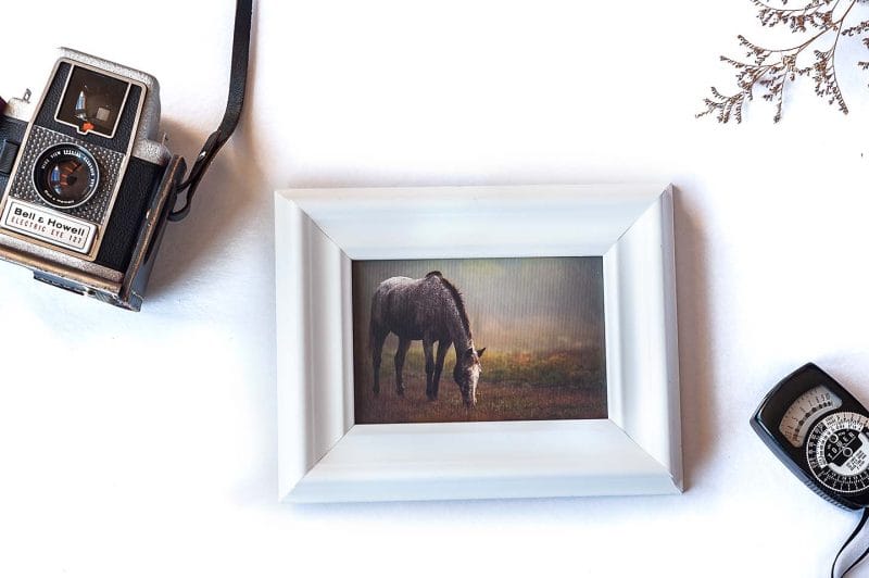 Tender Care Framed Mini Canvas Print