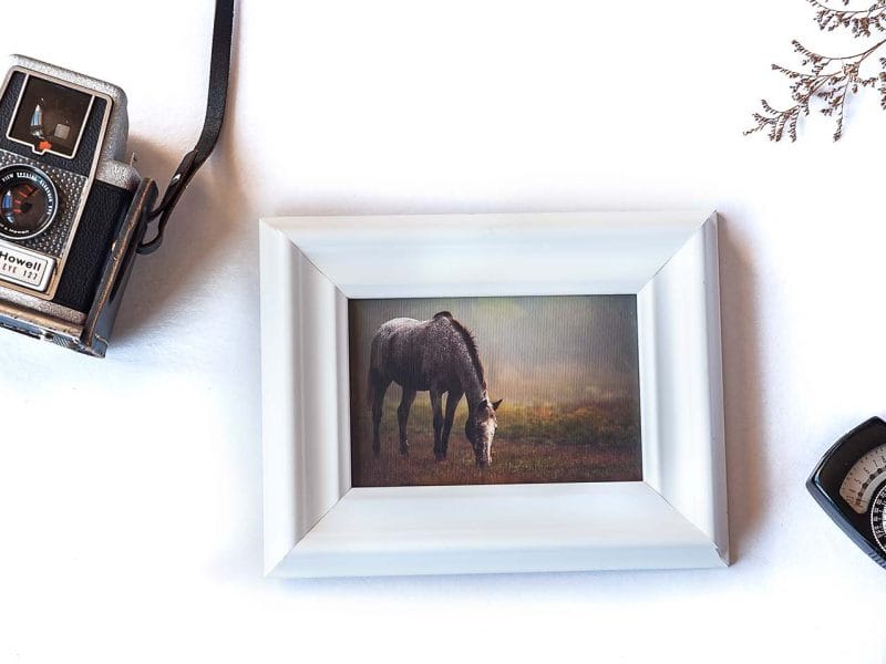 Tender Care Framed Mini Canvas Print