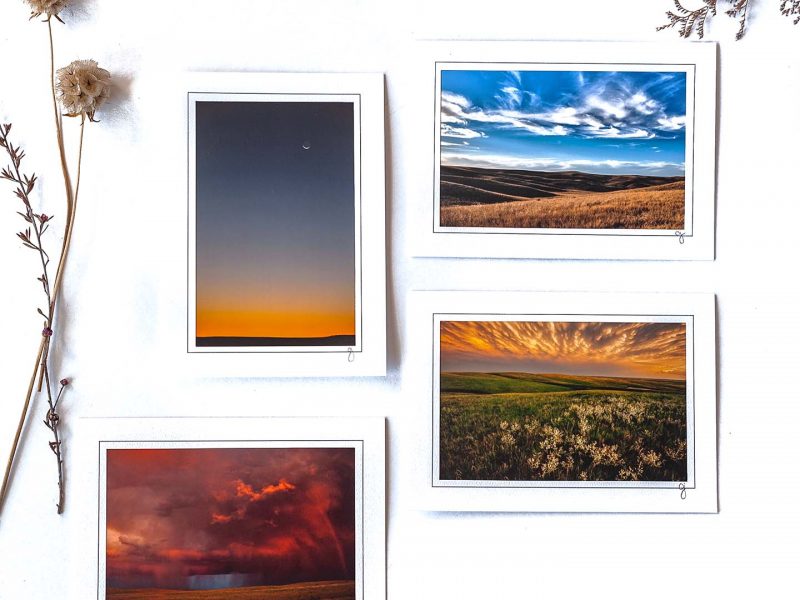 Signs of the Prairie Notecard Collection