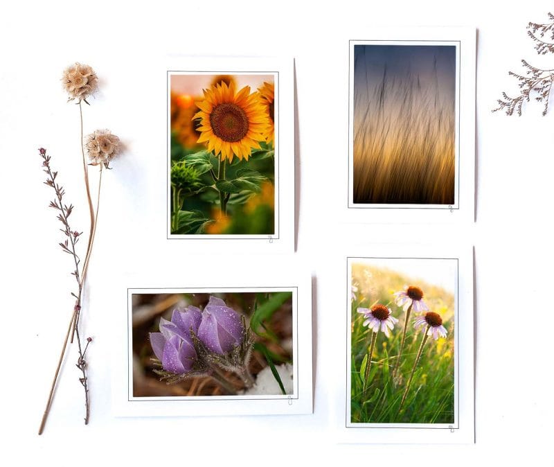 Spark Happiness Notecard Collection