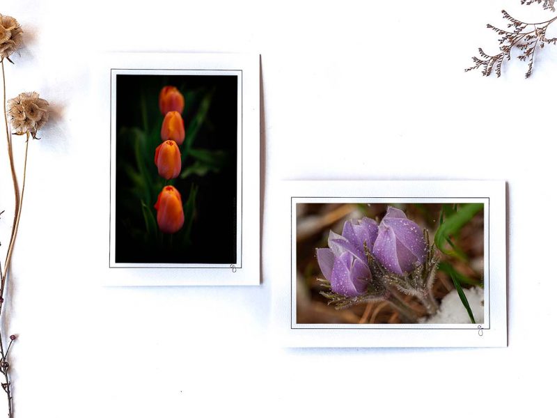 Spring Flowers Notecard Collection