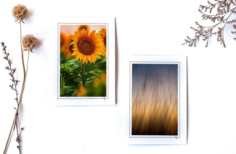 Sun & Waves Notecard Collection