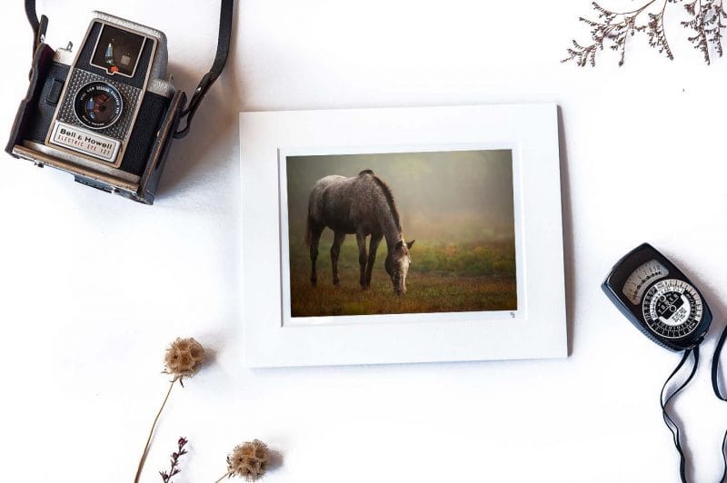 Tender Care 5x7 Matted Print